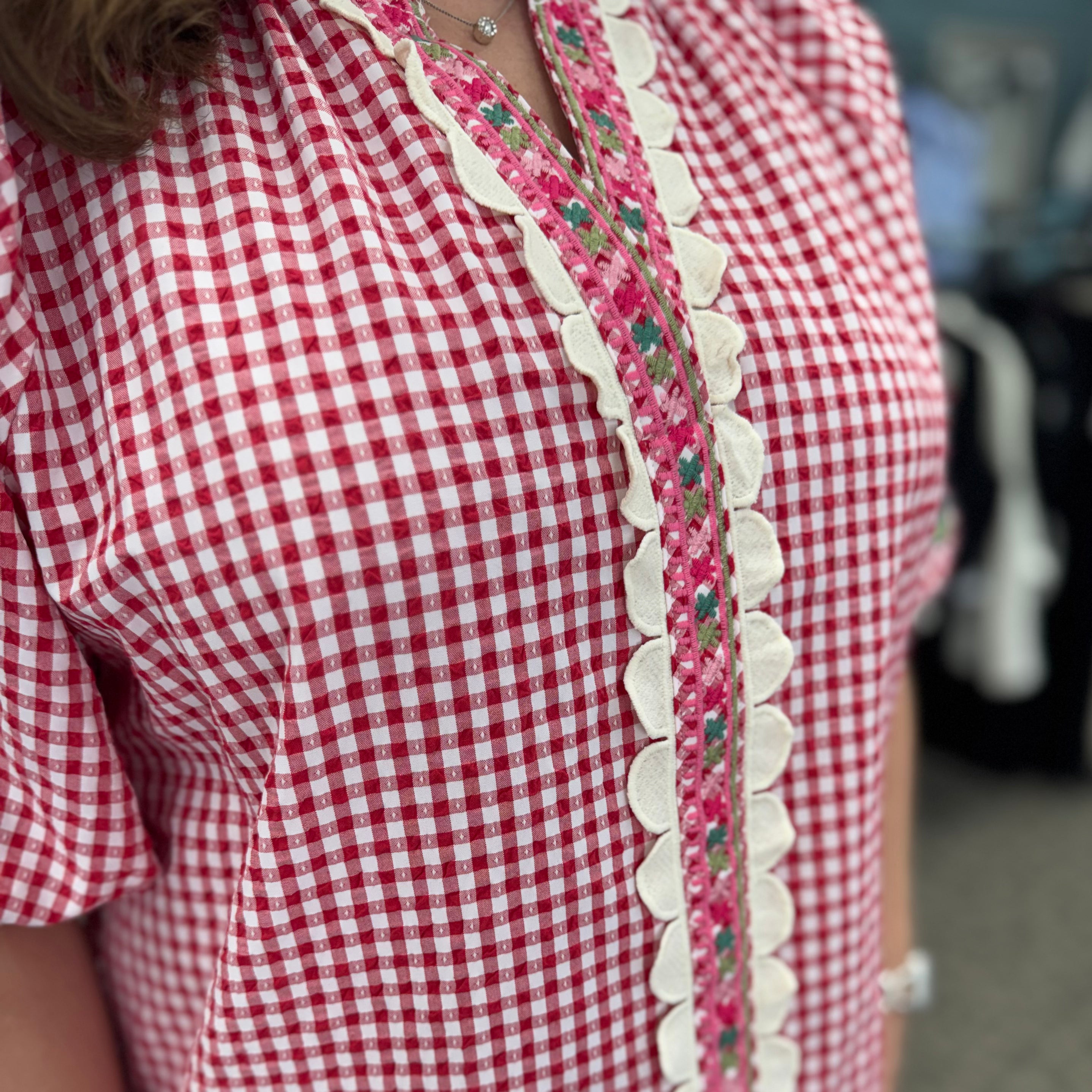 Embroidery Detail Puff Sleeve Gingham V-Neck Top