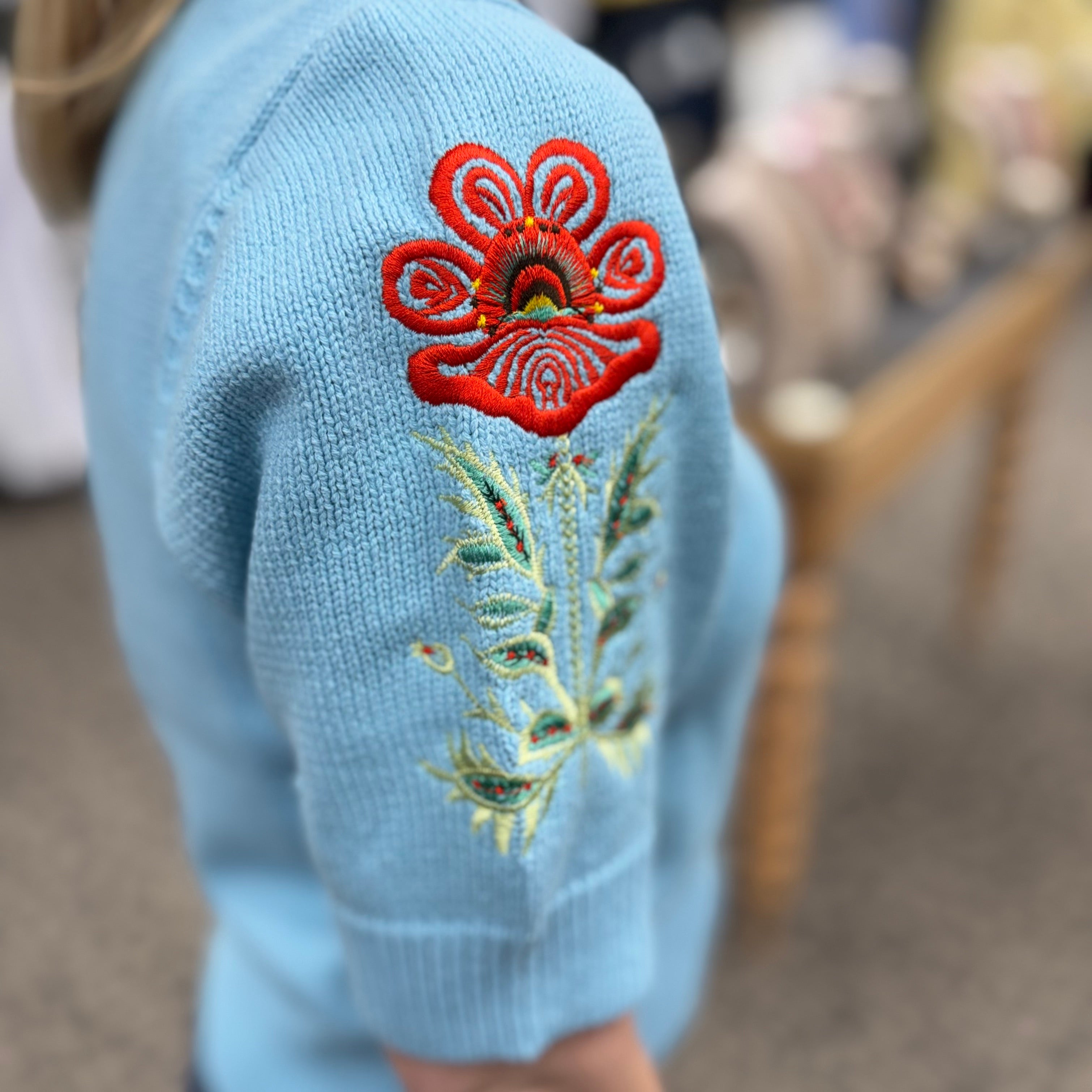 Solid Puff Sleeve Embroidered Knit Top