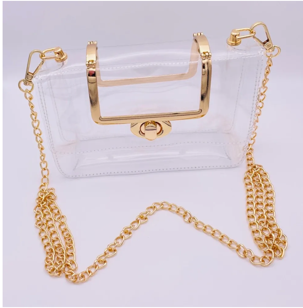 Clear Purse