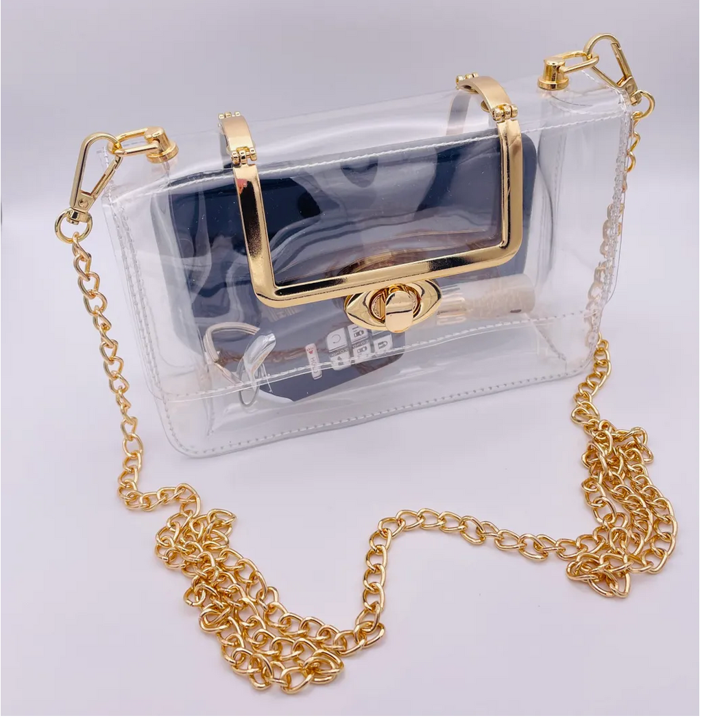 Clear Purse