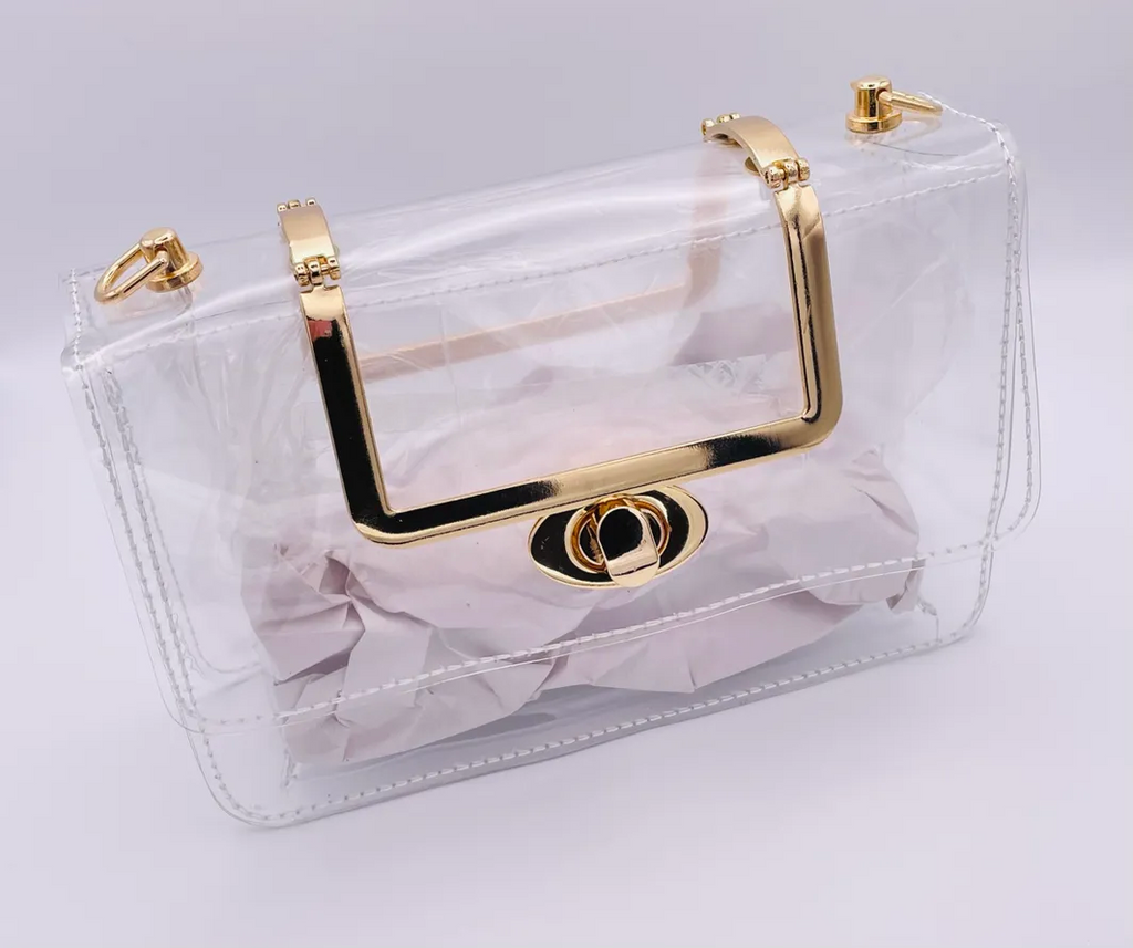 Clear Purse