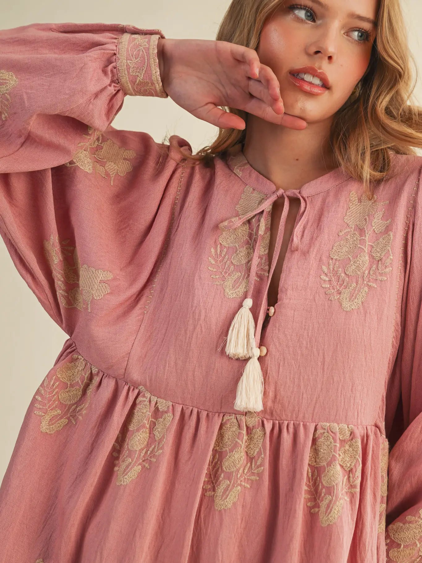 Embroidered Long Puff Sleeve Mini Dress