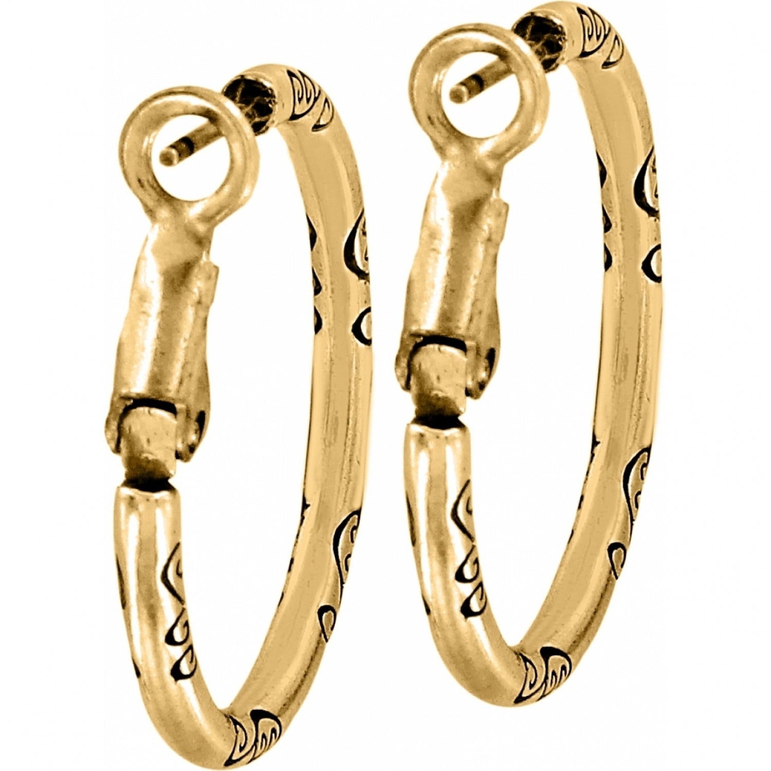 Small Hoop Charm Earring