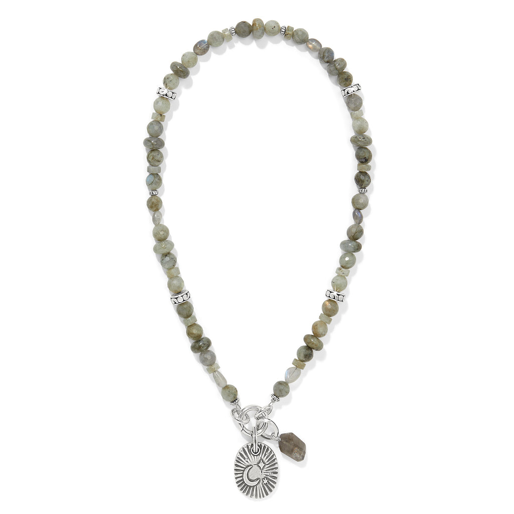 Token Charm Labradorite Necklace
